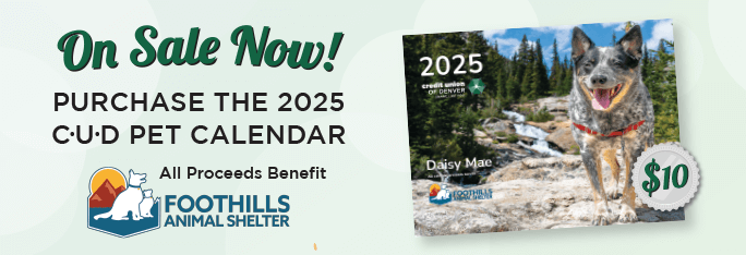 On Sale Now! Purchase the 2025 CUD Pet Calendar. All proceeds benefit Foothills Animal Shelter.