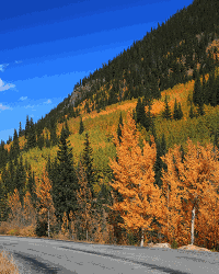 Guanella Pass in Colorado during the Fall