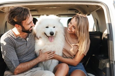 couple sits in back of SUV with large dog