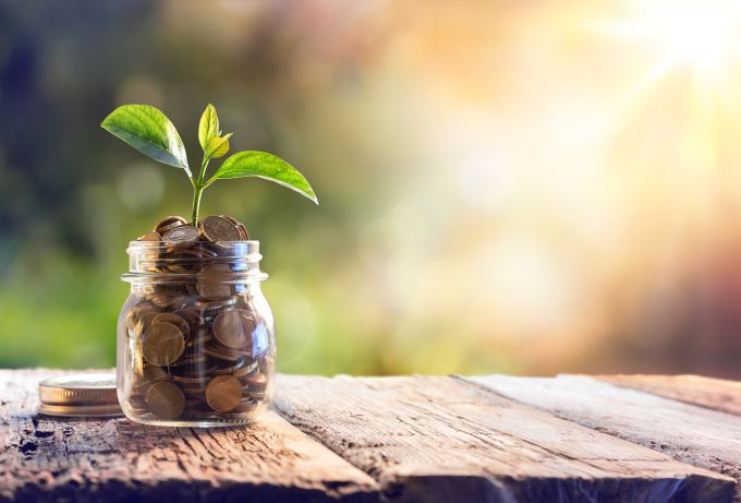 plant growing in coins